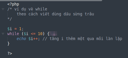 Ví dụ vòng lặp While trong PHP